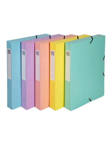 CARPETA PROYECTOS EXACOMPTA AQUAREL FORRADO A4 40MM PASTEL SURT.