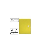 CARPETA PROYECTOS LEITZ RECYCLE A4 PP. LOMO 38MM AM. 2