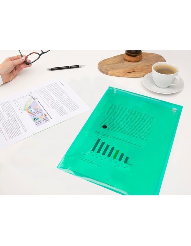 CARPETA BEAUT.DOSSIER BROCHE 34043 PP DIN A4 VER TPTE.-50 H.