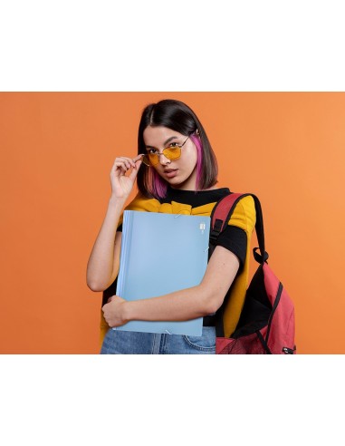 CARPETA CLASIFICADOR FUELLE PP. A4 CEL. OPACO 13 DEPARTAMENTOS