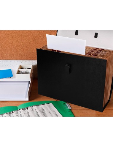 MALETIN C/FUELLE 316701 19 DEPARTAMENTOS TAMAÑO 25,5X390X120 MM