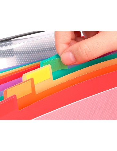 CARPETA BEAUT.CLASIF.FUELLE 45134 PP DIN A4 TPTE.-SPECTRAFILE 13 DEPA