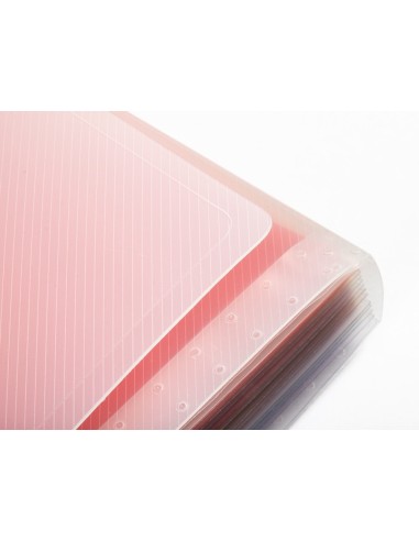 CARPETA BEAUT.CLASIF.A FUELLE PP DIN A5 SPECTRAFILE