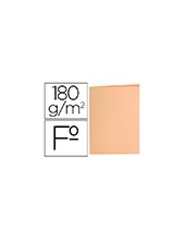 SUBCARPETA FL 180 GR. LIDERPAPEL NARANJA PASTEL 2