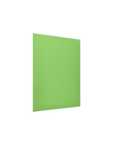 SUBCARPETA A4 180 GR. LIDERPAPEL VERDE INTENSO C/50 SUBCARPETA A4 180 GR. LIDERPAPEL VERDE INTENSO C/50