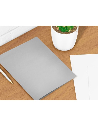SUBCARPETA A4 180 GR. LIDERPAPEL GRIS C/50