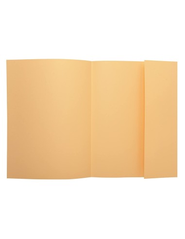 SUBCARPETA A4 160 GR. EXACOMPTA 1 SOLAPA AMARILLO