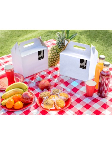 CAJA MALETIN CON ASA Q-CONNECT CARTON PARA ENVI Y TRANSP 350X118x255 CAJA MALETIN CON ASA Q-CONNECT CARTON PARA ENVI Y TRANSP 350X118x255