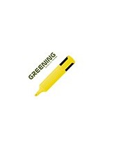 ROTULADOR GREENING FLUORESCENTE PUNTA BISELADA AMARILLO 2
