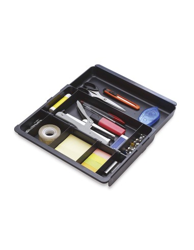 BANDEJA ORGANIZADORA EXACOMPTA DRAWINSERT CAJONES NG. 298X246X36 MM