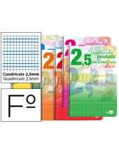 CUADERNO ESP. LIDERPAPEL FL. T.CARTON PAUTA 2.5MM 80H. 70GR.COL.SURT.