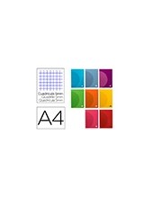 CUADERNO  360 T.DE PLAST.A4 48H. 90G/M2 5MM DOBLE MARGEN SURT. 2