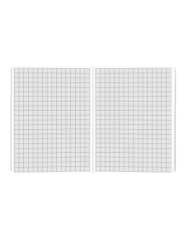 CUADERNO GRAP. SCRIPTUS A5 PAUTA Nº46 48H 90GR.COL.SURT