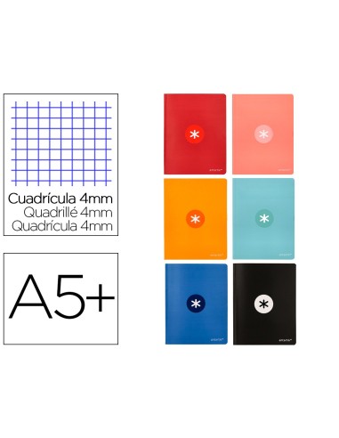 CUADERNO  ANTARTIK A5+ PLUS COSIDA 48H. 90G/M2 4MM MARGEN 6 SURT.