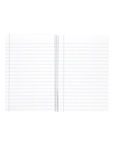 CUADERNO ESP. WONDER A4 T.PLASTICO PAUTA 2,5MM 80H 90GR. COL.SURT.