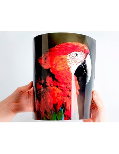 PAPEL Q-CON.FOTO GLOSSY KF02163 DIN A4 ALTA CALIDAD DIGITAL PHOTO PAR