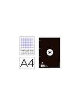 RECAMBIO  A4 ANTARTIK 80H. 90G/M2 5MM4 TAL.1B. MARCO NG. 2