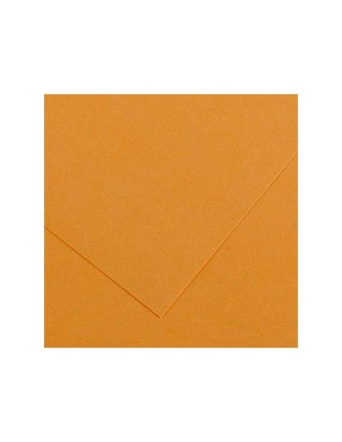 CARTULINA GUARRO CUERO 50X65 CM 185 GR