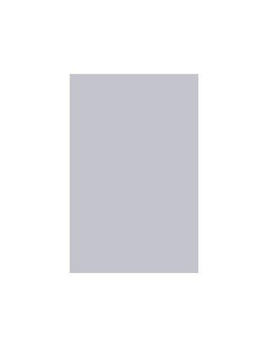 CARTULINA GUARRO DIN A3 GRIS PERLA 185 GR PAQUETE 50 H 200040214