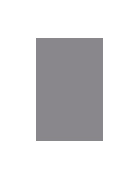 CARTULINA GUARRO DIN A4 GRIS PERLA 185 GR PAQUETE 50 H 200040177