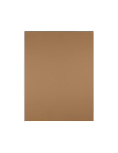 CARTULINA LIDERPAPEL 50X65 CM 180 GR MARRON ESCOLAR UNIDAD
