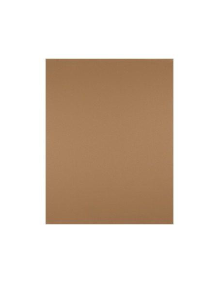 CARTULINA LIDERPAPEL 50X65 CM 180 GR MARRON ESCOLAR UNIDAD