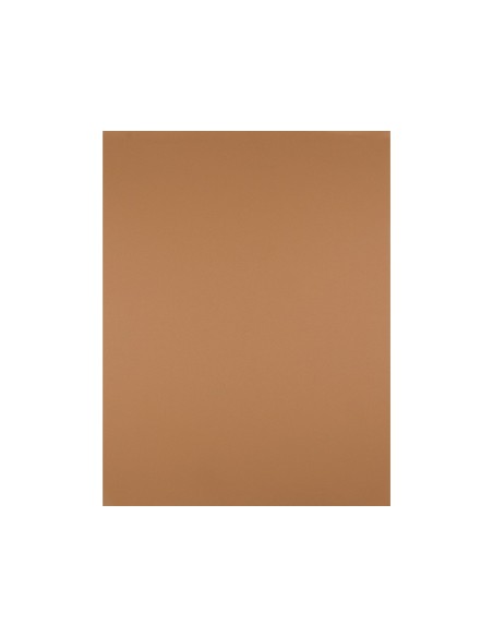 CARTULINA LIDERPAPEL 50X65 180 GR MARRON ESCOLAR PAQUETE 25