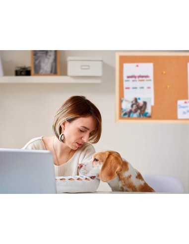 PIZARRA CORCHO Q-CON.90X60 CM MARCO MADERA