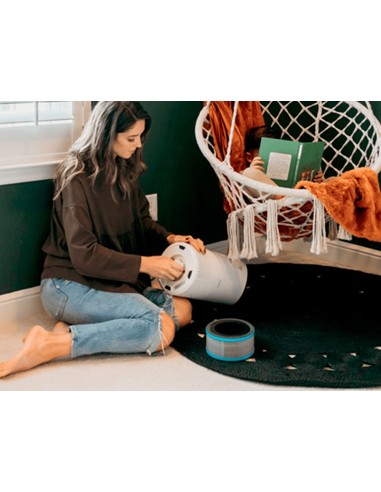 FILTRO CARBONO LEITZ PURIFICADOR AIRE GR.Z-1000 ALERGIAS GRIPE