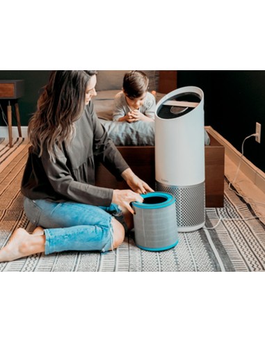 FILTRO LEITZ PURIFICADOR AIRE GR.Z-3000/Z-3500 ALERGIAS GRIPE