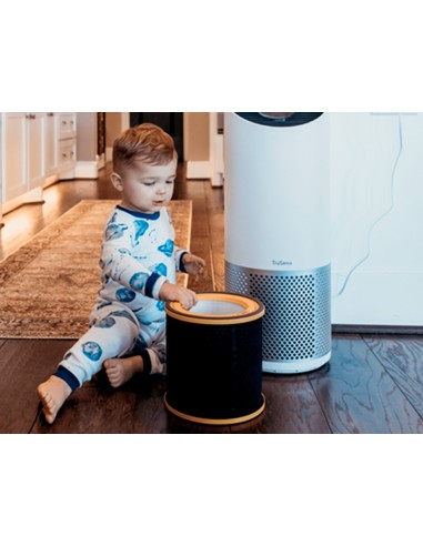 FILTRO HEPA LEITZ PURIFICADOR AIRE GRANDE Z-3000/Z-3500 OLORES COVID