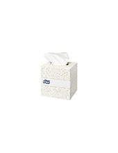 PAÑUELOS FACIALES TORK EXT SUAVE 2 CAPAS 20,9X20 CM CUBO 100 UNIDADES 2