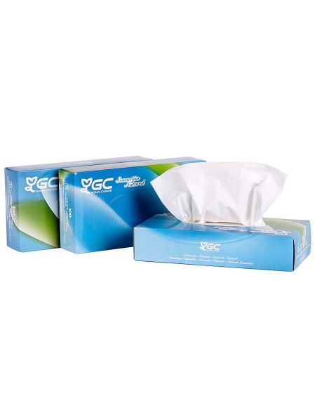 PAÑUELO TISU 2 CAPAS 21X20,7 CM CAJA DE 100 UNIDADES