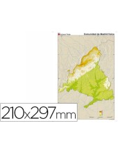 MAPA MUDO COLOR DIN A4 MADRID FISICO