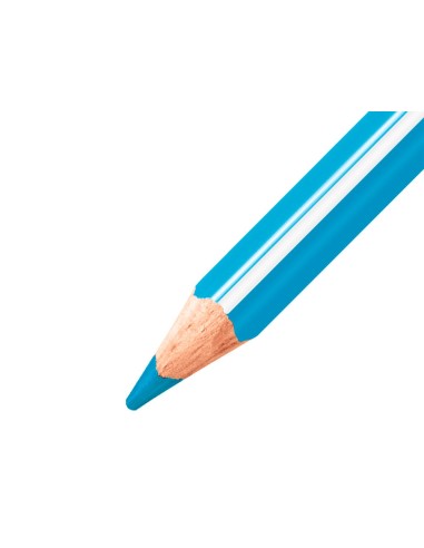 LAPICES STABILO TRIO AZ SCHOOL PK.DE 300 UD.SURTIDAS 20 COL.