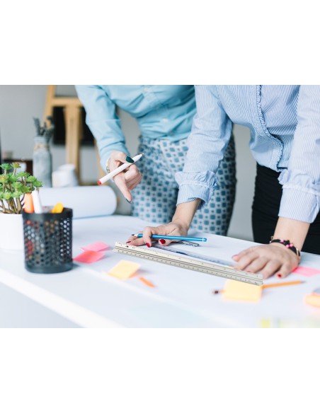 ESCALA  AL.FORMA TRIANGUL FUNDA 30 CM 1:20 1:25/1:50/1:75/1:100/1:150