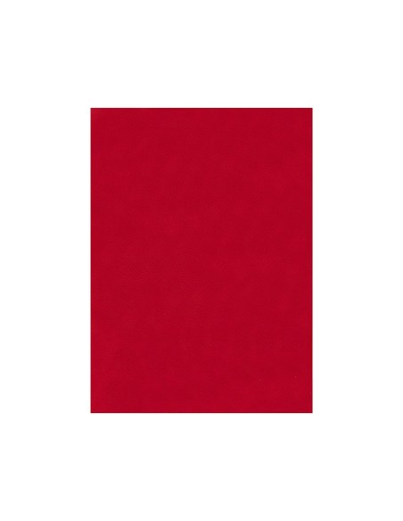FIELTRO LIDERPAPEL 50X70CM ROJO 160G/M2