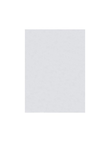 FIELTRO LIDERPAPEL 50X70CM BLANCO 160G/M2
