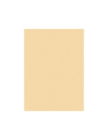 FIELTRO LIDERPAPEL 50X70CM COLOR CARNE 160G/M2