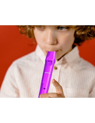 FLAUTA HOHNER 9508 VIO.FUNDA VER.,TRANSPARENTE