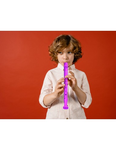 FLAUTA HOHNER 9508 VIO.FUNDA VER.,TRANSPARENTE