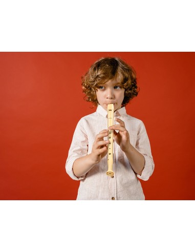 FLAUTA HOHNER PLASTICO 9508 FUNDA VERDE