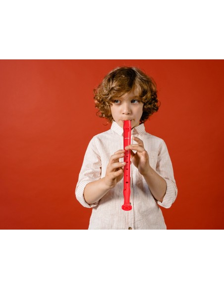 FLAUTA HOHNER 9508 COLOR ROJA FUNDA VERDE Y TRANSPARENTE