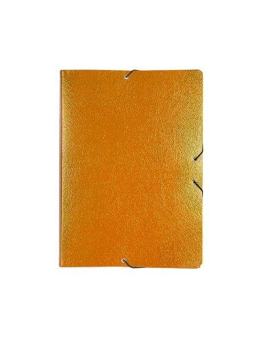 CARPETA PROYECTOS LOMO 7 CM VER CARTON