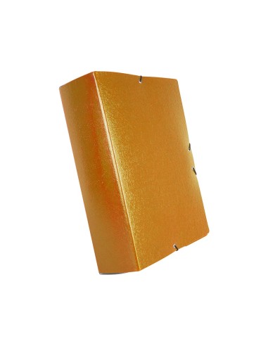 CARPETA PROYECTOS LOMO 7 CM VER CARTON