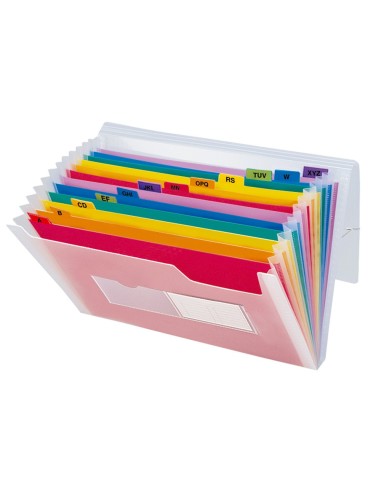 CARPETA BEAUT.CLASIF.FUELLE 42159 PP DIN A4 TTE 2 HUECOS TARJETAS SPE