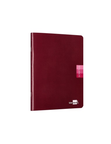 CUADERNO GRAP. SCRIPTUS A5+ T.CARTON R.MONTESORI 5MM 48H 90GR SURT. CUADERNO GRAP. SCRIPTUS A5+ T.CARTON R.MONTESORI 5MM 48H 90GR SURT.