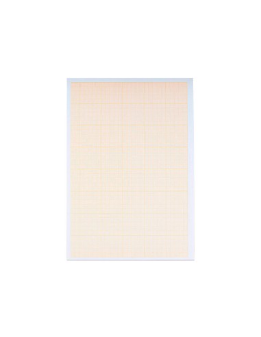 PAPEL MILIMETRADO DIN A4 80 GR. PACK 10 H.