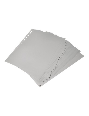 SEP.NUMERICO Q-CON.PLASTICO 1-20 JUEGO 20 SEP.A4 MULTITALADRO