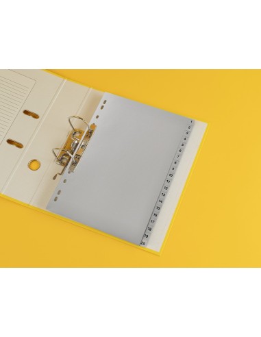 SEP.NUMERICO Q-CON.PLASTICO 1-20 JUEGO 20 SEP.A4 MULTITALADRO